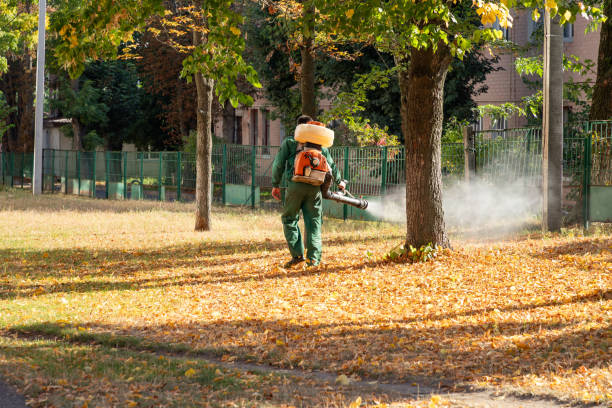 Best Termite Control Services  in Avon Lake, OH